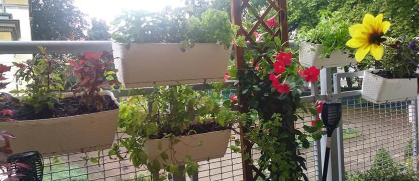 Balkon z marzeń