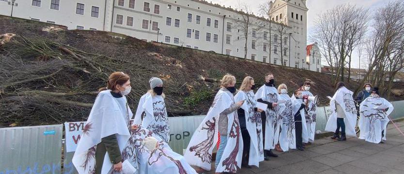 Symboliczne pożegnanie drzew na skarpie Zamku Książąt Pomorskich