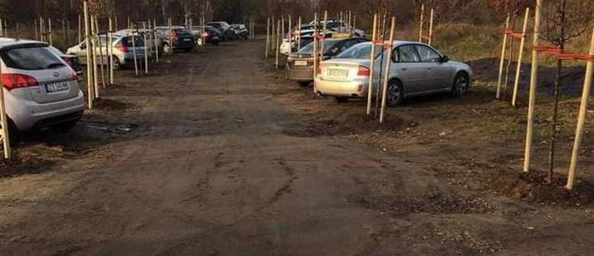 Posadzone dla zniszczenia? Radna: "ten obrazek jest dość groteskowy"
