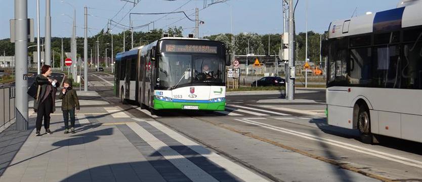 Przedwczesny powrót linii 75 na ul. Szafera