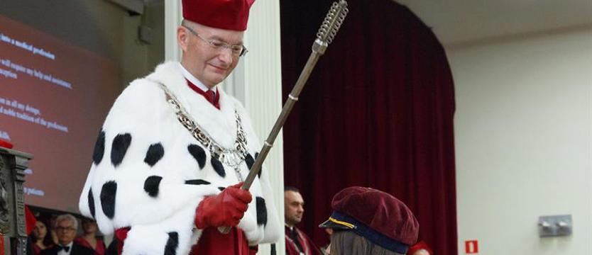 Najbardziej popularne kierunki studiów. O takich karierach marzą maturzyści