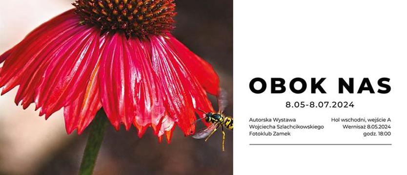 Wystawa w zamku „Obok nas” 