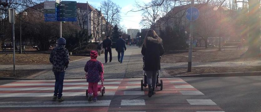 Pracownicy ZUS pomogą podczas składania wniosków RKO i 500 plus