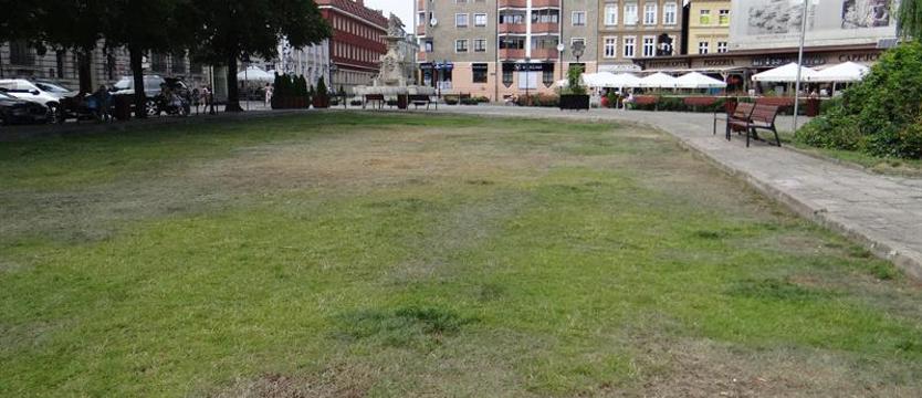 Po jarmarku – szacowanie szkód. Trawnik do poprawki