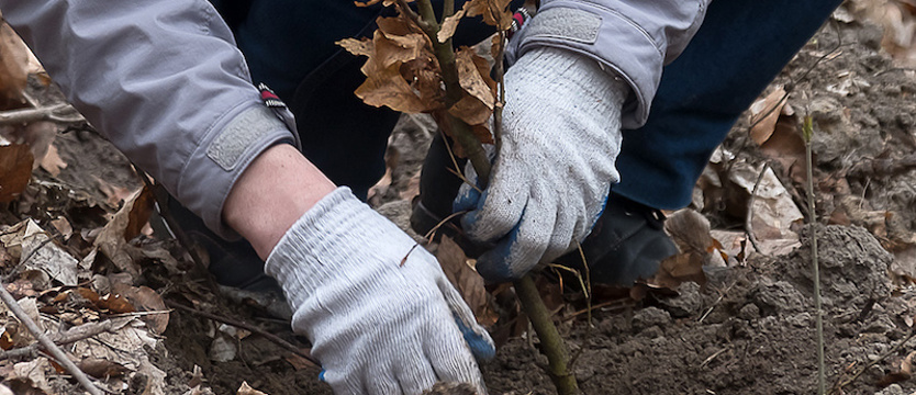 Puszcza Wkrzańska Razem dla Pokoleń