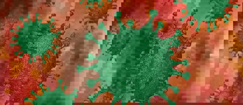 W niedzielę w kraju około 23 tysięcy zakażeń wirusem SARS-CoV-2. Zmarły 204 osoby