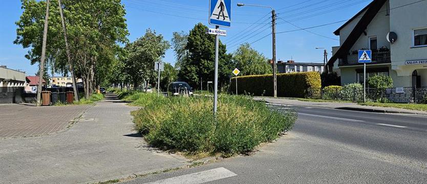 Trawa ogranicza widoczność