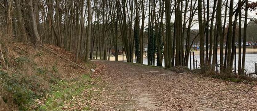 Spacer z rozpoznawaniem drzew i krzewów