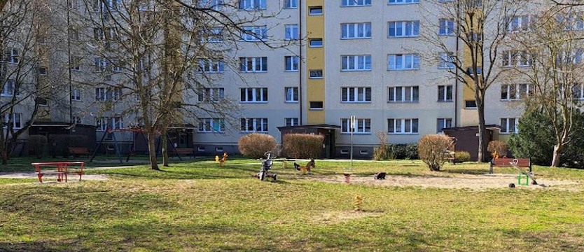 Plac zabaw przy ul. Boryny na Pomorzanach zostaje