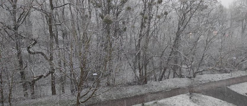 Śnieżny drugi dzień Świąt Wielkanocnych