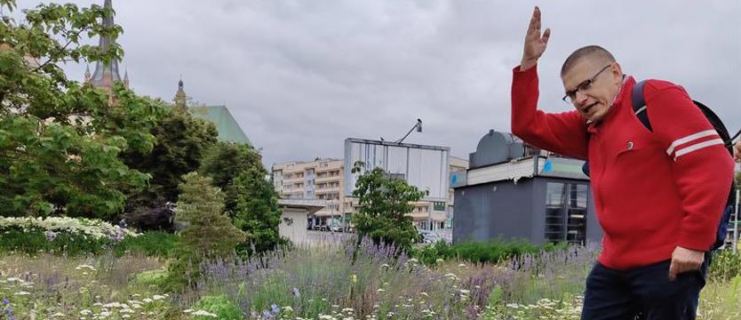 Otwieranie oczu na naturę. Achilles, Beethoven i szczecińskie rośliny ruderalne