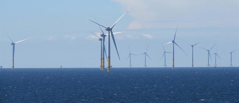 Na Politechnice Koszalińskiej stawiają na energetykę wiatrową
