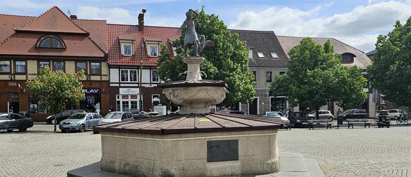 Gęsiarka, ulubienica barlineckich wandali