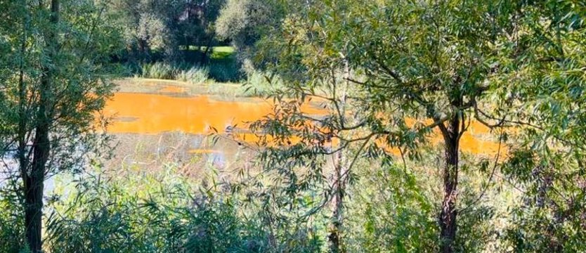 Rdzawe wody Jeziora Słonecznego. Są najnowsze wynik badań