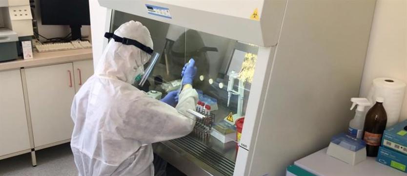 Coraz więcej testów na COVID-19 i osób na kwarantannie