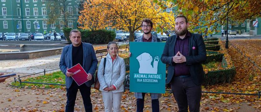 Na ratunek zwierzętom Szczecina. Petycja i apel o powołanie Animal Patrol