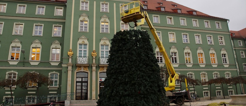 Choinka przed szczecińskim Urzędem Miasta już prawie gotowa