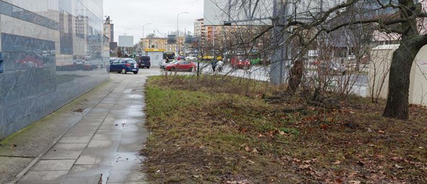 Śmietnisko posprzątane. Inne miejsca też czekają na reakcje