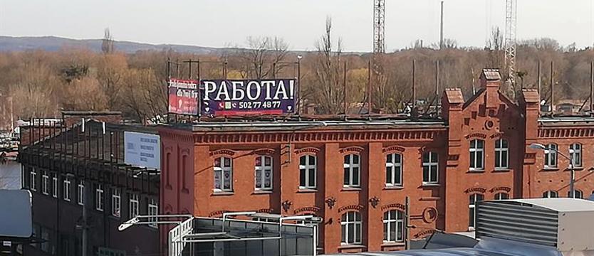 Nie ma wysypu ofert dla pracowników z Ukrainy. Przełamać barierę językową