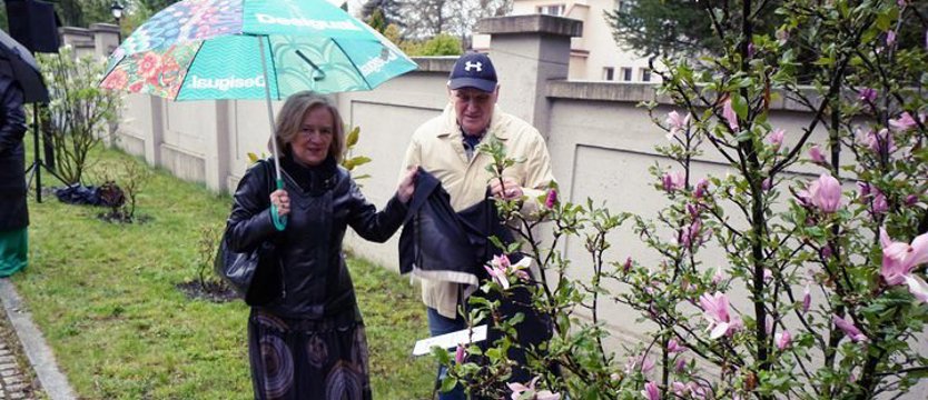 100-lecie urodzin Jacka Nieżychowskiego. Posadzili magnolię