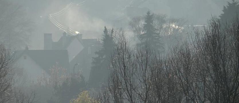 Zanieczyszczone powietrze sprzyja COVID-19