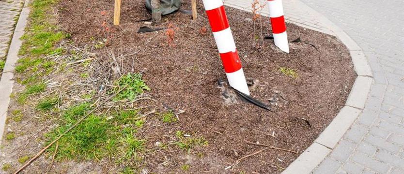 Szkody na Modrej i Koralowej. Przegląd inwestycji i przykre niespodzianki