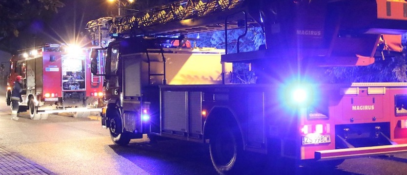 Nocny pożar dużej fermy trzody chlewnej pod Chojną. Padło 700 świń