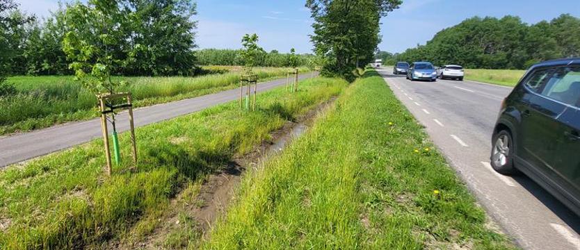 Połączyli Białogard z Karlinem. Rowerzyści mogą podróżować bezpiecznie