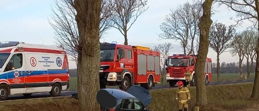Dwie osoby ranne w wypadku pod Gryficami