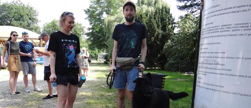 PsieBiegli się w dziesiątkę