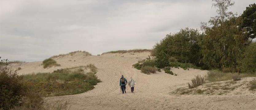 Studentki Akademii Sztuki nakręcą film