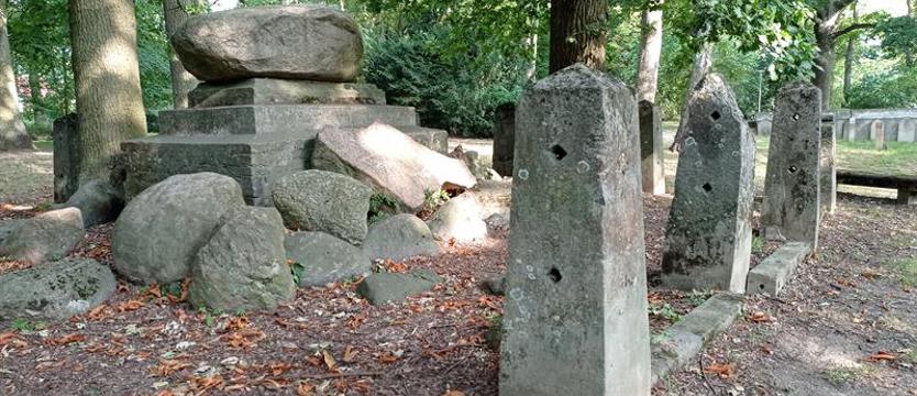 Znasz te (zielone) zakątki Warszewa? Spacer z rozpoznawaniem drzew i krzewów