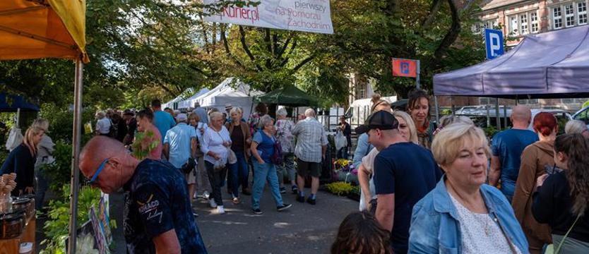 Weekend pod znakiem Pamiętajcie o ogrodach. Morze ludzi i kwiatów