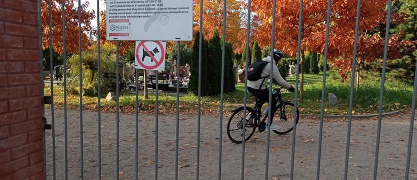 Szacunek dla zmarłych – zakaz dla psów
