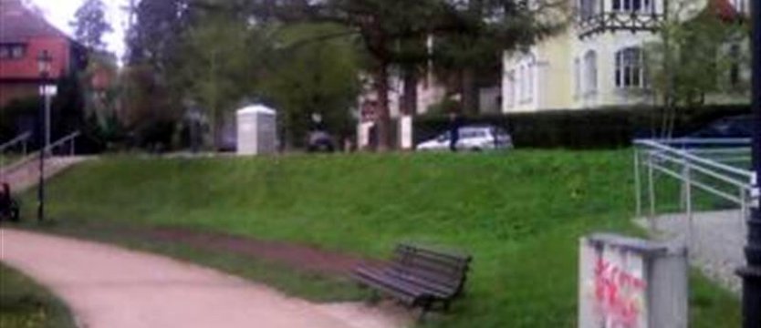 Krzewy niezgody na pl. Jakuba Wujka