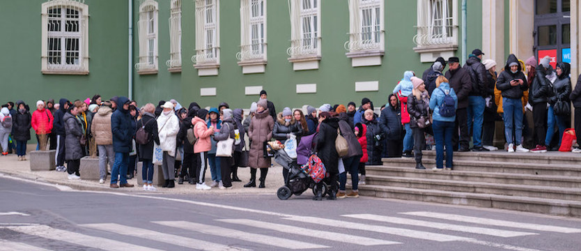 W kolejce po PESEL do szczecińskiego magistratu