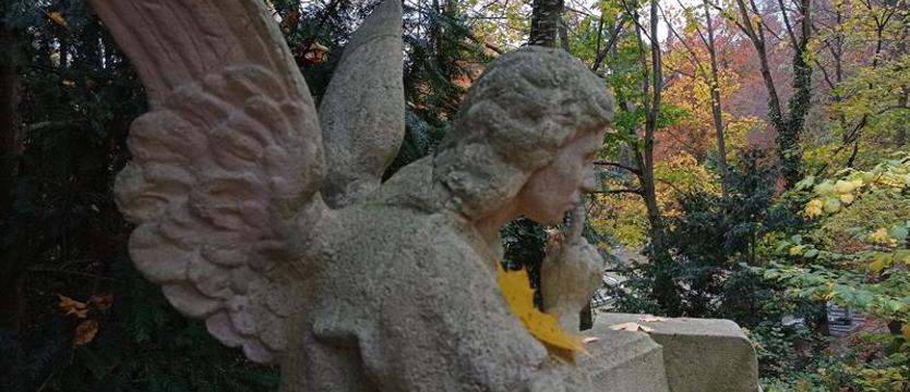 Tylko tradycyjne pochówki – bez wyboru. Nawet wbrew ostatniej woli