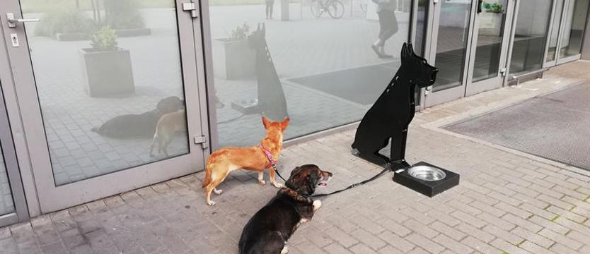 Psom i kotom wstęp wzbroniony. Kto robi marketing na zwierzętach?