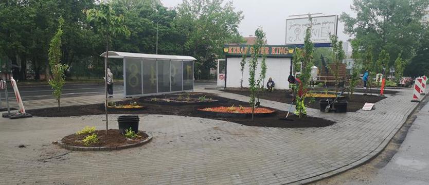 Skwer pełną parą. SBO dla Świerczewa