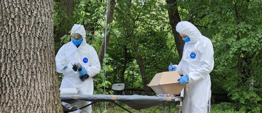 Odnaleziono szczątki ofiar zbrodni wołyńskiej. Jesteśmy to winni naszym przodkom