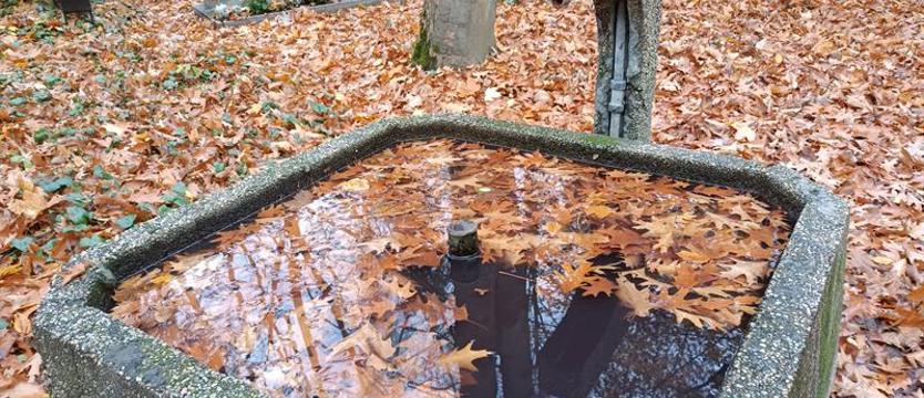 Ani kropli przy mogile na Cmentarzu Centralnym