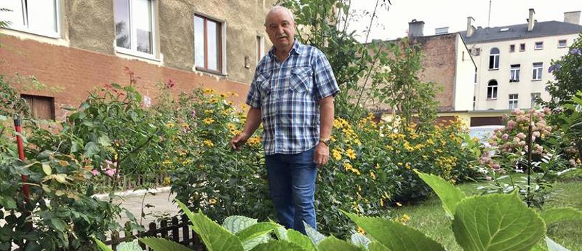 Dołącz do zielonej rywalizacji!