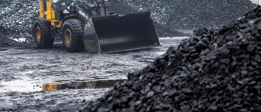 W sobotę Polska wyczerpie roczną pulę odnawialnych zasobów naturalnych
