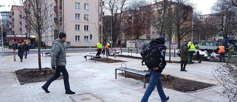 Tak się robi skwer? Sadzenie drzew i krzewów na mrozie