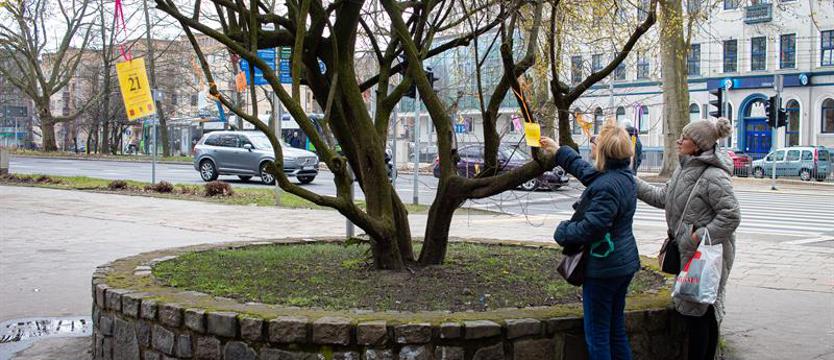 Poetycki początek wiosny w Parku Żeromskiego