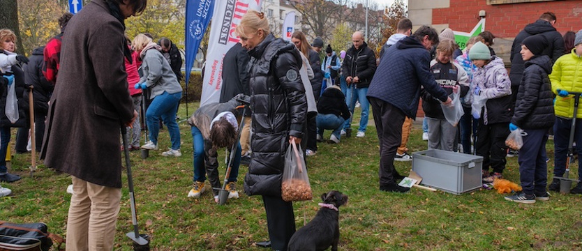 Uniwerek, krokusy i moc dobrego. Kanclerz US: "Wielkie otwarcie na Jasne Błonia"