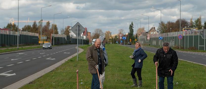Zieleń na ekrany. Niewielki koszt – wielki zysk