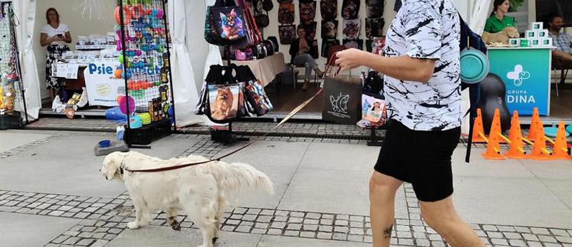 Wyjątkowe wydanie Bulwarove, czyli... niedzielne PSIjemności