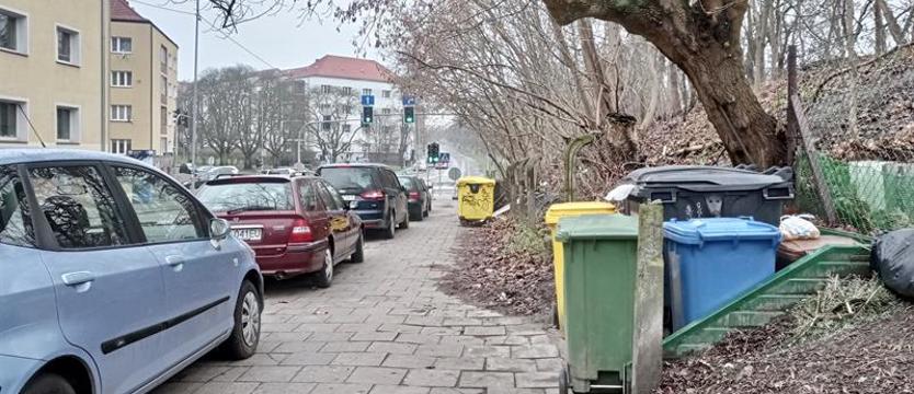 Śmietnikowe wystawki