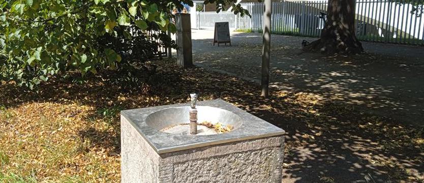 Niechże woda chłodu doda